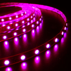 Ruban 4.5W RGB - IP65